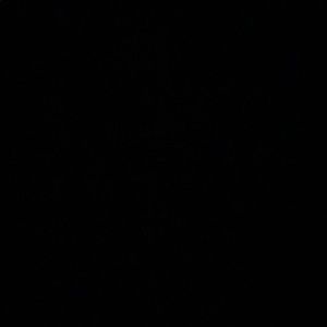 Meet your Posher, Emilia